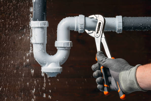 Professional Plumbing technician working in Monroe Center, IL
